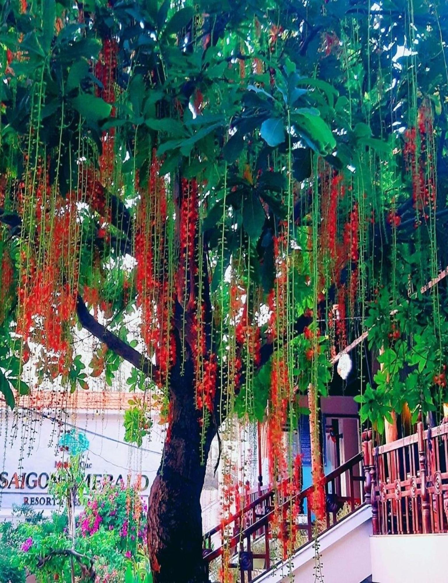 פאן ת'ייט Saigon Emerald Beach Resort מראה חיצוני תמונה